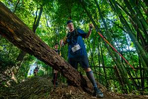 BIB: 515
                            <button type="button" onclick="openModal(19066838)" class="btn btn-primary btn-sm float-right btn-popup" data-toggle="modal" data-target=".modal-high-quality">
                        <i class="fas fa-shopping-cart"></i> Add to Cart
                    </button>
                                            <button type="button" onclick="isThisMe(19066838, true)" class="btn btn-success btn-sm float-right btn-popup btn-isme hidden" data-toggle="tooltip" data-placement="bottom" title="นี่คือรูปของคุณใช่ไหม คลิกที่นี่เพื่อเอาเข้าอัลบั้ม">
                        <i class="fas fa-plus"></i> Add to album
                    </button>
                    <button type="button" onclick="isThisMe(19066838, false)" class="btn btn-warning btn-sm float-right btn-popup btn-isnotme hidden">
                        <i class="fas fa-ban"></i> Remove from album
                    </button>