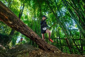 BIB: 3156
                            <button type="button" onclick="openModal(19061423)" class="btn btn-primary btn-sm float-right btn-popup" data-toggle="modal" data-target=".modal-high-quality">
                        <i class="fas fa-shopping-cart"></i> Add to Cart
                    </button>
                                            <button type="button" onclick="isThisMe(19061423, true)" class="btn btn-success btn-sm float-right btn-popup btn-isme hidden" data-toggle="tooltip" data-placement="bottom" title="นี่คือรูปของคุณใช่ไหม คลิกที่นี่เพื่อเอาเข้าอัลบั้ม">
                        <i class="fas fa-plus"></i> Add to album
                    </button>
                    <button type="button" onclick="isThisMe(19061423, false)" class="btn btn-warning btn-sm float-right btn-popup btn-isnotme hidden">
                        <i class="fas fa-ban"></i> Remove from album
                    </button>