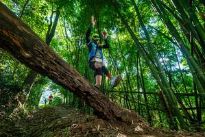 BIB: 
                            <button type="button" onclick="openModal(19068451)" class="btn btn-primary btn-sm float-right btn-popup" data-toggle="modal" data-target=".modal-high-quality">
                        <i class="fas fa-shopping-cart"></i> Add to Cart
                    </button>
                                            <button type="button" onclick="isThisMe(19068451, true)" class="btn btn-success btn-sm float-right btn-popup btn-isme hidden" data-toggle="tooltip" data-placement="bottom" title="นี่คือรูปของคุณใช่ไหม คลิกที่นี่เพื่อเอาเข้าอัลบั้ม">
                        <i class="fas fa-plus"></i> Add to album
                    </button>
                    <button type="button" onclick="isThisMe(19068451, false)" class="btn btn-warning btn-sm float-right btn-popup btn-isnotme hidden">
                        <i class="fas fa-ban"></i> Remove from album
                    </button>