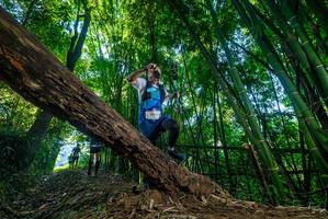 BIB: 2804
                            <button type="button" onclick="openModal(19000246)" class="btn btn-primary btn-sm float-right btn-popup" data-toggle="modal" data-target=".modal-high-quality">
                        <i class="fas fa-shopping-cart"></i> Add to Cart
                    </button>
                                            <button type="button" onclick="isThisMe(19000246, true)" class="btn btn-success btn-sm float-right btn-popup btn-isme hidden" data-toggle="tooltip" data-placement="bottom" title="นี่คือรูปของคุณใช่ไหม คลิกที่นี่เพื่อเอาเข้าอัลบั้ม">
                        <i class="fas fa-plus"></i> Add to album
                    </button>
                    <button type="button" onclick="isThisMe(19000246, false)" class="btn btn-warning btn-sm float-right btn-popup btn-isnotme hidden">
                        <i class="fas fa-ban"></i> Remove from album
                    </button>