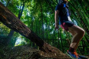 BIB: 
                            <button type="button" onclick="openModal(18990726)" class="btn btn-primary btn-sm float-right btn-popup" data-toggle="modal" data-target=".modal-high-quality">
                        <i class="fas fa-shopping-cart"></i> Add to Cart
                    </button>
                                            <button type="button" onclick="isThisMe(18990726, true)" class="btn btn-success btn-sm float-right btn-popup btn-isme hidden" data-toggle="tooltip" data-placement="bottom" title="นี่คือรูปของคุณใช่ไหม คลิกที่นี่เพื่อเอาเข้าอัลบั้ม">
                        <i class="fas fa-plus"></i> Add to album
                    </button>
                    <button type="button" onclick="isThisMe(18990726, false)" class="btn btn-warning btn-sm float-right btn-popup btn-isnotme hidden">
                        <i class="fas fa-ban"></i> Remove from album
                    </button>