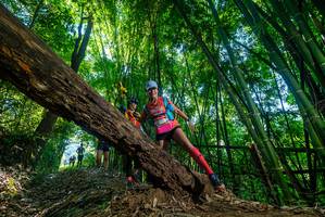 BIB: 
                            <button type="button" onclick="openModal(18999297)" class="btn btn-primary btn-sm float-right btn-popup" data-toggle="modal" data-target=".modal-high-quality">
                        <i class="fas fa-shopping-cart"></i> Add to Cart
                    </button>
                                            <button type="button" onclick="isThisMe(18999297, true)" class="btn btn-success btn-sm float-right btn-popup btn-isme hidden" data-toggle="tooltip" data-placement="bottom" title="นี่คือรูปของคุณใช่ไหม คลิกที่นี่เพื่อเอาเข้าอัลบั้ม">
                        <i class="fas fa-plus"></i> Add to album
                    </button>
                    <button type="button" onclick="isThisMe(18999297, false)" class="btn btn-warning btn-sm float-right btn-popup btn-isnotme hidden">
                        <i class="fas fa-ban"></i> Remove from album
                    </button>