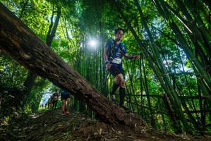 BIB: 
                            <button type="button" onclick="openModal(19064051)" class="btn btn-primary btn-sm float-right btn-popup" data-toggle="modal" data-target=".modal-high-quality">
                        <i class="fas fa-shopping-cart"></i> Add to Cart
                    </button>
                                            <button type="button" onclick="isThisMe(19064051, true)" class="btn btn-success btn-sm float-right btn-popup btn-isme hidden" data-toggle="tooltip" data-placement="bottom" title="นี่คือรูปของคุณใช่ไหม คลิกที่นี่เพื่อเอาเข้าอัลบั้ม">
                        <i class="fas fa-plus"></i> Add to album
                    </button>
                    <button type="button" onclick="isThisMe(19064051, false)" class="btn btn-warning btn-sm float-right btn-popup btn-isnotme hidden">
                        <i class="fas fa-ban"></i> Remove from album
                    </button>