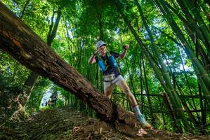 BIB: 1109, 
                            <button type="button" onclick="openModal(19068366)" class="btn btn-primary btn-sm float-right btn-popup" data-toggle="modal" data-target=".modal-high-quality">
                        <i class="fas fa-shopping-cart"></i> Add to Cart
                    </button>
                                            <button type="button" onclick="isThisMe(19068366, true)" class="btn btn-success btn-sm float-right btn-popup btn-isme hidden" data-toggle="tooltip" data-placement="bottom" title="นี่คือรูปของคุณใช่ไหม คลิกที่นี่เพื่อเอาเข้าอัลบั้ม">
                        <i class="fas fa-plus"></i> Add to album
                    </button>
                    <button type="button" onclick="isThisMe(19068366, false)" class="btn btn-warning btn-sm float-right btn-popup btn-isnotme hidden">
                        <i class="fas fa-ban"></i> Remove from album
                    </button>