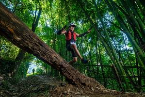 BIB: 
                            <button type="button" onclick="openModal(18995240)" class="btn btn-primary btn-sm float-right btn-popup" data-toggle="modal" data-target=".modal-high-quality">
                        <i class="fas fa-shopping-cart"></i> Add to Cart
                    </button>
                                            <button type="button" onclick="isThisMe(18995240, true)" class="btn btn-success btn-sm float-right btn-popup btn-isme hidden" data-toggle="tooltip" data-placement="bottom" title="นี่คือรูปของคุณใช่ไหม คลิกที่นี่เพื่อเอาเข้าอัลบั้ม">
                        <i class="fas fa-plus"></i> Add to album
                    </button>
                    <button type="button" onclick="isThisMe(18995240, false)" class="btn btn-warning btn-sm float-right btn-popup btn-isnotme hidden">
                        <i class="fas fa-ban"></i> Remove from album
                    </button>