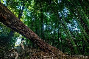 BIB: 
                            <button type="button" onclick="openModal(18991589)" class="btn btn-primary btn-sm float-right btn-popup" data-toggle="modal" data-target=".modal-high-quality">
                        <i class="fas fa-shopping-cart"></i> Add to Cart
                    </button>
                                            <button type="button" onclick="isThisMe(18991589, true)" class="btn btn-success btn-sm float-right btn-popup btn-isme hidden" data-toggle="tooltip" data-placement="bottom" title="นี่คือรูปของคุณใช่ไหม คลิกที่นี่เพื่อเอาเข้าอัลบั้ม">
                        <i class="fas fa-plus"></i> Add to album
                    </button>
                    <button type="button" onclick="isThisMe(18991589, false)" class="btn btn-warning btn-sm float-right btn-popup btn-isnotme hidden">
                        <i class="fas fa-ban"></i> Remove from album
                    </button>