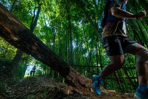 BIB: 
                            <button type="button" onclick="openModal(18997769)" class="btn btn-primary btn-sm float-right btn-popup" data-toggle="modal" data-target=".modal-high-quality">
                        <i class="fas fa-shopping-cart"></i> Add to Cart
                    </button>
                                            <button type="button" onclick="isThisMe(18997769, true)" class="btn btn-success btn-sm float-right btn-popup btn-isme hidden" data-toggle="tooltip" data-placement="bottom" title="นี่คือรูปของคุณใช่ไหม คลิกที่นี่เพื่อเอาเข้าอัลบั้ม">
                        <i class="fas fa-plus"></i> Add to album
                    </button>
                    <button type="button" onclick="isThisMe(18997769, false)" class="btn btn-warning btn-sm float-right btn-popup btn-isnotme hidden">
                        <i class="fas fa-ban"></i> Remove from album
                    </button>