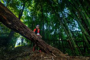 BIB: 
                            <button type="button" onclick="openModal(18991312)" class="btn btn-primary btn-sm float-right btn-popup" data-toggle="modal" data-target=".modal-high-quality">
                        <i class="fas fa-shopping-cart"></i> Add to Cart
                    </button>
                                            <button type="button" onclick="isThisMe(18991312, true)" class="btn btn-success btn-sm float-right btn-popup btn-isme hidden" data-toggle="tooltip" data-placement="bottom" title="นี่คือรูปของคุณใช่ไหม คลิกที่นี่เพื่อเอาเข้าอัลบั้ม">
                        <i class="fas fa-plus"></i> Add to album
                    </button>
                    <button type="button" onclick="isThisMe(18991312, false)" class="btn btn-warning btn-sm float-right btn-popup btn-isnotme hidden">
                        <i class="fas fa-ban"></i> Remove from album
                    </button>