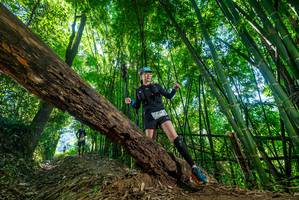 BIB: 
                            <button type="button" onclick="openModal(19058480)" class="btn btn-primary btn-sm float-right btn-popup" data-toggle="modal" data-target=".modal-high-quality">
                        <i class="fas fa-shopping-cart"></i> Add to Cart
                    </button>
                                            <button type="button" onclick="isThisMe(19058480, true)" class="btn btn-success btn-sm float-right btn-popup btn-isme hidden" data-toggle="tooltip" data-placement="bottom" title="นี่คือรูปของคุณใช่ไหม คลิกที่นี่เพื่อเอาเข้าอัลบั้ม">
                        <i class="fas fa-plus"></i> Add to album
                    </button>
                    <button type="button" onclick="isThisMe(19058480, false)" class="btn btn-warning btn-sm float-right btn-popup btn-isnotme hidden">
                        <i class="fas fa-ban"></i> Remove from album
                    </button>