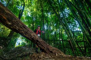 BIB: 
                            <button type="button" onclick="openModal(18992956)" class="btn btn-primary btn-sm float-right btn-popup" data-toggle="modal" data-target=".modal-high-quality">
                        <i class="fas fa-shopping-cart"></i> Add to Cart
                    </button>
                                            <button type="button" onclick="isThisMe(18992956, true)" class="btn btn-success btn-sm float-right btn-popup btn-isme hidden" data-toggle="tooltip" data-placement="bottom" title="นี่คือรูปของคุณใช่ไหม คลิกที่นี่เพื่อเอาเข้าอัลบั้ม">
                        <i class="fas fa-plus"></i> Add to album
                    </button>
                    <button type="button" onclick="isThisMe(18992956, false)" class="btn btn-warning btn-sm float-right btn-popup btn-isnotme hidden">
                        <i class="fas fa-ban"></i> Remove from album
                    </button>