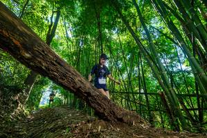 BIB: 
                            <button type="button" onclick="openModal(19069153)" class="btn btn-primary btn-sm float-right btn-popup" data-toggle="modal" data-target=".modal-high-quality">
                        <i class="fas fa-shopping-cart"></i> Add to Cart
                    </button>
                                            <button type="button" onclick="isThisMe(19069153, true)" class="btn btn-success btn-sm float-right btn-popup btn-isme hidden" data-toggle="tooltip" data-placement="bottom" title="นี่คือรูปของคุณใช่ไหม คลิกที่นี่เพื่อเอาเข้าอัลบั้ม">
                        <i class="fas fa-plus"></i> Add to album
                    </button>
                    <button type="button" onclick="isThisMe(19069153, false)" class="btn btn-warning btn-sm float-right btn-popup btn-isnotme hidden">
                        <i class="fas fa-ban"></i> Remove from album
                    </button>