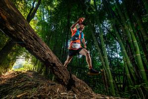 BIB: 614
                            <button type="button" onclick="openModal(18986258)" class="btn btn-primary btn-sm float-right btn-popup" data-toggle="modal" data-target=".modal-high-quality">
                        <i class="fas fa-shopping-cart"></i> Add to Cart
                    </button>
                                            <button type="button" onclick="isThisMe(18986258, true)" class="btn btn-success btn-sm float-right btn-popup btn-isme hidden" data-toggle="tooltip" data-placement="bottom" title="นี่คือรูปของคุณใช่ไหม คลิกที่นี่เพื่อเอาเข้าอัลบั้ม">
                        <i class="fas fa-plus"></i> Add to album
                    </button>
                    <button type="button" onclick="isThisMe(18986258, false)" class="btn btn-warning btn-sm float-right btn-popup btn-isnotme hidden">
                        <i class="fas fa-ban"></i> Remove from album
                    </button>