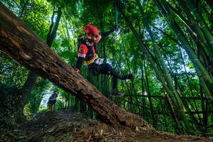 BIB: 
                            <button type="button" onclick="openModal(19056477)" class="btn btn-primary btn-sm float-right btn-popup" data-toggle="modal" data-target=".modal-high-quality">
                        <i class="fas fa-shopping-cart"></i> Add to Cart
                    </button>
                                            <button type="button" onclick="isThisMe(19056477, true)" class="btn btn-success btn-sm float-right btn-popup btn-isme hidden" data-toggle="tooltip" data-placement="bottom" title="นี่คือรูปของคุณใช่ไหม คลิกที่นี่เพื่อเอาเข้าอัลบั้ม">
                        <i class="fas fa-plus"></i> Add to album
                    </button>
                    <button type="button" onclick="isThisMe(19056477, false)" class="btn btn-warning btn-sm float-right btn-popup btn-isnotme hidden">
                        <i class="fas fa-ban"></i> Remove from album
                    </button>