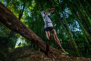 BIB: 2003
                            <button type="button" onclick="openModal(18990070)" class="btn btn-primary btn-sm float-right btn-popup" data-toggle="modal" data-target=".modal-high-quality">
                        <i class="fas fa-shopping-cart"></i> Add to Cart
                    </button>
                                            <button type="button" onclick="isThisMe(18990070, true)" class="btn btn-success btn-sm float-right btn-popup btn-isme hidden" data-toggle="tooltip" data-placement="bottom" title="นี่คือรูปของคุณใช่ไหม คลิกที่นี่เพื่อเอาเข้าอัลบั้ม">
                        <i class="fas fa-plus"></i> Add to album
                    </button>
                    <button type="button" onclick="isThisMe(18990070, false)" class="btn btn-warning btn-sm float-right btn-popup btn-isnotme hidden">
                        <i class="fas fa-ban"></i> Remove from album
                    </button>