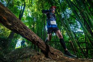 BIB: 2834
                            <button type="button" onclick="openModal(18989557)" class="btn btn-primary btn-sm float-right btn-popup" data-toggle="modal" data-target=".modal-high-quality">
                        <i class="fas fa-shopping-cart"></i> Add to Cart
                    </button>
                                            <button type="button" onclick="isThisMe(18989557, true)" class="btn btn-success btn-sm float-right btn-popup btn-isme hidden" data-toggle="tooltip" data-placement="bottom" title="นี่คือรูปของคุณใช่ไหม คลิกที่นี่เพื่อเอาเข้าอัลบั้ม">
                        <i class="fas fa-plus"></i> Add to album
                    </button>
                    <button type="button" onclick="isThisMe(18989557, false)" class="btn btn-warning btn-sm float-right btn-popup btn-isnotme hidden">
                        <i class="fas fa-ban"></i> Remove from album
                    </button>