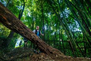 BIB: 
                            <button type="button" onclick="openModal(19000223)" class="btn btn-primary btn-sm float-right btn-popup" data-toggle="modal" data-target=".modal-high-quality">
                        <i class="fas fa-shopping-cart"></i> Add to Cart
                    </button>
                                            <button type="button" onclick="isThisMe(19000223, true)" class="btn btn-success btn-sm float-right btn-popup btn-isme hidden" data-toggle="tooltip" data-placement="bottom" title="นี่คือรูปของคุณใช่ไหม คลิกที่นี่เพื่อเอาเข้าอัลบั้ม">
                        <i class="fas fa-plus"></i> Add to album
                    </button>
                    <button type="button" onclick="isThisMe(19000223, false)" class="btn btn-warning btn-sm float-right btn-popup btn-isnotme hidden">
                        <i class="fas fa-ban"></i> Remove from album
                    </button>