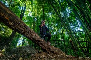 BIB: 
                            <button type="button" onclick="openModal(18997388)" class="btn btn-primary btn-sm float-right btn-popup" data-toggle="modal" data-target=".modal-high-quality">
                        <i class="fas fa-shopping-cart"></i> Add to Cart
                    </button>
                                            <button type="button" onclick="isThisMe(18997388, true)" class="btn btn-success btn-sm float-right btn-popup btn-isme hidden" data-toggle="tooltip" data-placement="bottom" title="นี่คือรูปของคุณใช่ไหม คลิกที่นี่เพื่อเอาเข้าอัลบั้ม">
                        <i class="fas fa-plus"></i> Add to album
                    </button>
                    <button type="button" onclick="isThisMe(18997388, false)" class="btn btn-warning btn-sm float-right btn-popup btn-isnotme hidden">
                        <i class="fas fa-ban"></i> Remove from album
                    </button>