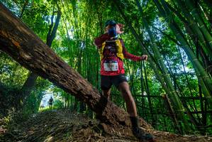 BIB: 
                            <button type="button" onclick="openModal(18997304)" class="btn btn-primary btn-sm float-right btn-popup" data-toggle="modal" data-target=".modal-high-quality">
                        <i class="fas fa-shopping-cart"></i> Add to Cart
                    </button>
                                            <button type="button" onclick="isThisMe(18997304, true)" class="btn btn-success btn-sm float-right btn-popup btn-isme hidden" data-toggle="tooltip" data-placement="bottom" title="นี่คือรูปของคุณใช่ไหม คลิกที่นี่เพื่อเอาเข้าอัลบั้ม">
                        <i class="fas fa-plus"></i> Add to album
                    </button>
                    <button type="button" onclick="isThisMe(18997304, false)" class="btn btn-warning btn-sm float-right btn-popup btn-isnotme hidden">
                        <i class="fas fa-ban"></i> Remove from album
                    </button>