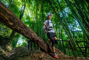 BIB: 
                            <button type="button" onclick="openModal(19054293)" class="btn btn-primary btn-sm float-right btn-popup" data-toggle="modal" data-target=".modal-high-quality">
                        <i class="fas fa-shopping-cart"></i> Add to Cart
                    </button>
                                            <button type="button" onclick="isThisMe(19054293, true)" class="btn btn-success btn-sm float-right btn-popup btn-isme hidden" data-toggle="tooltip" data-placement="bottom" title="นี่คือรูปของคุณใช่ไหม คลิกที่นี่เพื่อเอาเข้าอัลบั้ม">
                        <i class="fas fa-plus"></i> Add to album
                    </button>
                    <button type="button" onclick="isThisMe(19054293, false)" class="btn btn-warning btn-sm float-right btn-popup btn-isnotme hidden">
                        <i class="fas fa-ban"></i> Remove from album
                    </button>