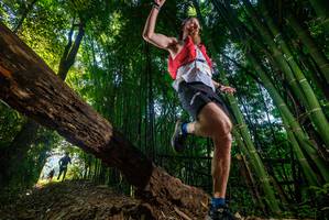 BIB: 
                            <button type="button" onclick="openModal(18987423)" class="btn btn-primary btn-sm float-right btn-popup" data-toggle="modal" data-target=".modal-high-quality">
                        <i class="fas fa-shopping-cart"></i> Add to Cart
                    </button>
                                            <button type="button" onclick="isThisMe(18987423, true)" class="btn btn-success btn-sm float-right btn-popup btn-isme hidden" data-toggle="tooltip" data-placement="bottom" title="นี่คือรูปของคุณใช่ไหม คลิกที่นี่เพื่อเอาเข้าอัลบั้ม">
                        <i class="fas fa-plus"></i> Add to album
                    </button>
                    <button type="button" onclick="isThisMe(18987423, false)" class="btn btn-warning btn-sm float-right btn-popup btn-isnotme hidden">
                        <i class="fas fa-ban"></i> Remove from album
                    </button>