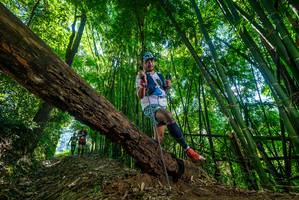 BIB: 
                            <button type="button" onclick="openModal(19064957)" class="btn btn-primary btn-sm float-right btn-popup" data-toggle="modal" data-target=".modal-high-quality">
                        <i class="fas fa-shopping-cart"></i> Add to Cart
                    </button>
                                            <button type="button" onclick="isThisMe(19064957, true)" class="btn btn-success btn-sm float-right btn-popup btn-isme hidden" data-toggle="tooltip" data-placement="bottom" title="นี่คือรูปของคุณใช่ไหม คลิกที่นี่เพื่อเอาเข้าอัลบั้ม">
                        <i class="fas fa-plus"></i> Add to album
                    </button>
                    <button type="button" onclick="isThisMe(19064957, false)" class="btn btn-warning btn-sm float-right btn-popup btn-isnotme hidden">
                        <i class="fas fa-ban"></i> Remove from album
                    </button>