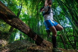 BIB: 
                            <button type="button" onclick="openModal(19001020)" class="btn btn-primary btn-sm float-right btn-popup" data-toggle="modal" data-target=".modal-high-quality">
                        <i class="fas fa-shopping-cart"></i> Add to Cart
                    </button>
                                            <button type="button" onclick="isThisMe(19001020, true)" class="btn btn-success btn-sm float-right btn-popup btn-isme hidden" data-toggle="tooltip" data-placement="bottom" title="นี่คือรูปของคุณใช่ไหม คลิกที่นี่เพื่อเอาเข้าอัลบั้ม">
                        <i class="fas fa-plus"></i> Add to album
                    </button>
                    <button type="button" onclick="isThisMe(19001020, false)" class="btn btn-warning btn-sm float-right btn-popup btn-isnotme hidden">
                        <i class="fas fa-ban"></i> Remove from album
                    </button>