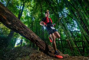 BIB: 
                            <button type="button" onclick="openModal(18990804)" class="btn btn-primary btn-sm float-right btn-popup" data-toggle="modal" data-target=".modal-high-quality">
                        <i class="fas fa-shopping-cart"></i> Add to Cart
                    </button>
                                            <button type="button" onclick="isThisMe(18990804, true)" class="btn btn-success btn-sm float-right btn-popup btn-isme hidden" data-toggle="tooltip" data-placement="bottom" title="นี่คือรูปของคุณใช่ไหม คลิกที่นี่เพื่อเอาเข้าอัลบั้ม">
                        <i class="fas fa-plus"></i> Add to album
                    </button>
                    <button type="button" onclick="isThisMe(18990804, false)" class="btn btn-warning btn-sm float-right btn-popup btn-isnotme hidden">
                        <i class="fas fa-ban"></i> Remove from album
                    </button>