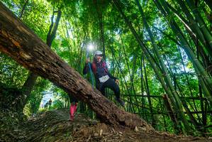 BIB: 1317
                            <button type="button" onclick="openModal(19057143)" class="btn btn-primary btn-sm float-right btn-popup" data-toggle="modal" data-target=".modal-high-quality">
                        <i class="fas fa-shopping-cart"></i> Add to Cart
                    </button>
                                            <button type="button" onclick="isThisMe(19057143, true)" class="btn btn-success btn-sm float-right btn-popup btn-isme hidden" data-toggle="tooltip" data-placement="bottom" title="นี่คือรูปของคุณใช่ไหม คลิกที่นี่เพื่อเอาเข้าอัลบั้ม">
                        <i class="fas fa-plus"></i> Add to album
                    </button>
                    <button type="button" onclick="isThisMe(19057143, false)" class="btn btn-warning btn-sm float-right btn-popup btn-isnotme hidden">
                        <i class="fas fa-ban"></i> Remove from album
                    </button>