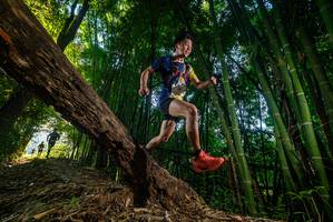 BIB: 
                            <button type="button" onclick="openModal(18986648)" class="btn btn-primary btn-sm float-right btn-popup" data-toggle="modal" data-target=".modal-high-quality">
                        <i class="fas fa-shopping-cart"></i> Add to Cart
                    </button>
                                            <button type="button" onclick="isThisMe(18986648, true)" class="btn btn-success btn-sm float-right btn-popup btn-isme hidden" data-toggle="tooltip" data-placement="bottom" title="นี่คือรูปของคุณใช่ไหม คลิกที่นี่เพื่อเอาเข้าอัลบั้ม">
                        <i class="fas fa-plus"></i> Add to album
                    </button>
                    <button type="button" onclick="isThisMe(18986648, false)" class="btn btn-warning btn-sm float-right btn-popup btn-isnotme hidden">
                        <i class="fas fa-ban"></i> Remove from album
                    </button>