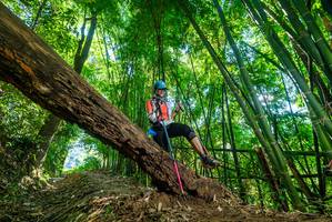 BIB: 
                            <button type="button" onclick="openModal(19070357)" class="btn btn-primary btn-sm float-right btn-popup" data-toggle="modal" data-target=".modal-high-quality">
                        <i class="fas fa-shopping-cart"></i> Add to Cart
                    </button>
                                            <button type="button" onclick="isThisMe(19070357, true)" class="btn btn-success btn-sm float-right btn-popup btn-isme hidden" data-toggle="tooltip" data-placement="bottom" title="นี่คือรูปของคุณใช่ไหม คลิกที่นี่เพื่อเอาเข้าอัลบั้ม">
                        <i class="fas fa-plus"></i> Add to album
                    </button>
                    <button type="button" onclick="isThisMe(19070357, false)" class="btn btn-warning btn-sm float-right btn-popup btn-isnotme hidden">
                        <i class="fas fa-ban"></i> Remove from album
                    </button>