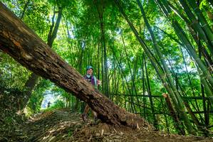 BIB: 
                            <button type="button" onclick="openModal(19071164)" class="btn btn-primary btn-sm float-right btn-popup" data-toggle="modal" data-target=".modal-high-quality">
                        <i class="fas fa-shopping-cart"></i> Add to Cart
                    </button>
                                            <button type="button" onclick="isThisMe(19071164, true)" class="btn btn-success btn-sm float-right btn-popup btn-isme hidden" data-toggle="tooltip" data-placement="bottom" title="นี่คือรูปของคุณใช่ไหม คลิกที่นี่เพื่อเอาเข้าอัลบั้ม">
                        <i class="fas fa-plus"></i> Add to album
                    </button>
                    <button type="button" onclick="isThisMe(19071164, false)" class="btn btn-warning btn-sm float-right btn-popup btn-isnotme hidden">
                        <i class="fas fa-ban"></i> Remove from album
                    </button>