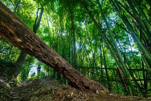 BIB: 
                            <button type="button" onclick="openModal(19061883)" class="btn btn-primary btn-sm float-right btn-popup" data-toggle="modal" data-target=".modal-high-quality">
                        <i class="fas fa-shopping-cart"></i> Add to Cart
                    </button>
                                            <button type="button" onclick="isThisMe(19061883, true)" class="btn btn-success btn-sm float-right btn-popup btn-isme hidden" data-toggle="tooltip" data-placement="bottom" title="นี่คือรูปของคุณใช่ไหม คลิกที่นี่เพื่อเอาเข้าอัลบั้ม">
                        <i class="fas fa-plus"></i> Add to album
                    </button>
                    <button type="button" onclick="isThisMe(19061883, false)" class="btn btn-warning btn-sm float-right btn-popup btn-isnotme hidden">
                        <i class="fas fa-ban"></i> Remove from album
                    </button>