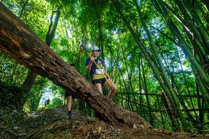 BIB: 
                            <button type="button" onclick="openModal(19057901)" class="btn btn-primary btn-sm float-right btn-popup" data-toggle="modal" data-target=".modal-high-quality">
                        <i class="fas fa-shopping-cart"></i> Add to Cart
                    </button>
                                            <button type="button" onclick="isThisMe(19057901, true)" class="btn btn-success btn-sm float-right btn-popup btn-isme hidden" data-toggle="tooltip" data-placement="bottom" title="นี่คือรูปของคุณใช่ไหม คลิกที่นี่เพื่อเอาเข้าอัลบั้ม">
                        <i class="fas fa-plus"></i> Add to album
                    </button>
                    <button type="button" onclick="isThisMe(19057901, false)" class="btn btn-warning btn-sm float-right btn-popup btn-isnotme hidden">
                        <i class="fas fa-ban"></i> Remove from album
                    </button>