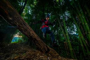 BIB: 
                            <button type="button" onclick="openModal(18986015)" class="btn btn-primary btn-sm float-right btn-popup" data-toggle="modal" data-target=".modal-high-quality">
                        <i class="fas fa-shopping-cart"></i> Add to Cart
                    </button>
                                            <button type="button" onclick="isThisMe(18986015, true)" class="btn btn-success btn-sm float-right btn-popup btn-isme hidden" data-toggle="tooltip" data-placement="bottom" title="นี่คือรูปของคุณใช่ไหม คลิกที่นี่เพื่อเอาเข้าอัลบั้ม">
                        <i class="fas fa-plus"></i> Add to album
                    </button>
                    <button type="button" onclick="isThisMe(18986015, false)" class="btn btn-warning btn-sm float-right btn-popup btn-isnotme hidden">
                        <i class="fas fa-ban"></i> Remove from album
                    </button>