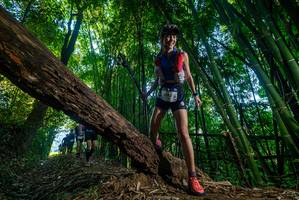 BIB: 
                            <button type="button" onclick="openModal(18990284)" class="btn btn-primary btn-sm float-right btn-popup" data-toggle="modal" data-target=".modal-high-quality">
                        <i class="fas fa-shopping-cart"></i> Add to Cart
                    </button>
                                            <button type="button" onclick="isThisMe(18990284, true)" class="btn btn-success btn-sm float-right btn-popup btn-isme hidden" data-toggle="tooltip" data-placement="bottom" title="นี่คือรูปของคุณใช่ไหม คลิกที่นี่เพื่อเอาเข้าอัลบั้ม">
                        <i class="fas fa-plus"></i> Add to album
                    </button>
                    <button type="button" onclick="isThisMe(18990284, false)" class="btn btn-warning btn-sm float-right btn-popup btn-isnotme hidden">
                        <i class="fas fa-ban"></i> Remove from album
                    </button>