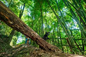 BIB: 
                            <button type="button" onclick="openModal(19071782)" class="btn btn-primary btn-sm float-right btn-popup" data-toggle="modal" data-target=".modal-high-quality">
                        <i class="fas fa-shopping-cart"></i> Add to Cart
                    </button>
                                            <button type="button" onclick="isThisMe(19071782, true)" class="btn btn-success btn-sm float-right btn-popup btn-isme hidden" data-toggle="tooltip" data-placement="bottom" title="นี่คือรูปของคุณใช่ไหม คลิกที่นี่เพื่อเอาเข้าอัลบั้ม">
                        <i class="fas fa-plus"></i> Add to album
                    </button>
                    <button type="button" onclick="isThisMe(19071782, false)" class="btn btn-warning btn-sm float-right btn-popup btn-isnotme hidden">
                        <i class="fas fa-ban"></i> Remove from album
                    </button>