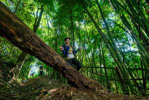 BIB: 
                            <button type="button" onclick="openModal(19069435)" class="btn btn-primary btn-sm float-right btn-popup" data-toggle="modal" data-target=".modal-high-quality">
                        <i class="fas fa-shopping-cart"></i> Add to Cart
                    </button>
                                            <button type="button" onclick="isThisMe(19069435, true)" class="btn btn-success btn-sm float-right btn-popup btn-isme hidden" data-toggle="tooltip" data-placement="bottom" title="นี่คือรูปของคุณใช่ไหม คลิกที่นี่เพื่อเอาเข้าอัลบั้ม">
                        <i class="fas fa-plus"></i> Add to album
                    </button>
                    <button type="button" onclick="isThisMe(19069435, false)" class="btn btn-warning btn-sm float-right btn-popup btn-isnotme hidden">
                        <i class="fas fa-ban"></i> Remove from album
                    </button>