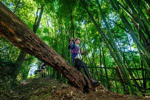 BIB: 
                            <button type="button" onclick="openModal(19059722)" class="btn btn-primary btn-sm float-right btn-popup" data-toggle="modal" data-target=".modal-high-quality">
                        <i class="fas fa-shopping-cart"></i> Add to Cart
                    </button>
                                            <button type="button" onclick="isThisMe(19059722, true)" class="btn btn-success btn-sm float-right btn-popup btn-isme hidden" data-toggle="tooltip" data-placement="bottom" title="นี่คือรูปของคุณใช่ไหม คลิกที่นี่เพื่อเอาเข้าอัลบั้ม">
                        <i class="fas fa-plus"></i> Add to album
                    </button>
                    <button type="button" onclick="isThisMe(19059722, false)" class="btn btn-warning btn-sm float-right btn-popup btn-isnotme hidden">
                        <i class="fas fa-ban"></i> Remove from album
                    </button>