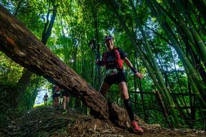 BIB: 
                            <button type="button" onclick="openModal(18997519)" class="btn btn-primary btn-sm float-right btn-popup" data-toggle="modal" data-target=".modal-high-quality">
                        <i class="fas fa-shopping-cart"></i> Add to Cart
                    </button>
                                            <button type="button" onclick="isThisMe(18997519, true)" class="btn btn-success btn-sm float-right btn-popup btn-isme hidden" data-toggle="tooltip" data-placement="bottom" title="นี่คือรูปของคุณใช่ไหม คลิกที่นี่เพื่อเอาเข้าอัลบั้ม">
                        <i class="fas fa-plus"></i> Add to album
                    </button>
                    <button type="button" onclick="isThisMe(18997519, false)" class="btn btn-warning btn-sm float-right btn-popup btn-isnotme hidden">
                        <i class="fas fa-ban"></i> Remove from album
                    </button>