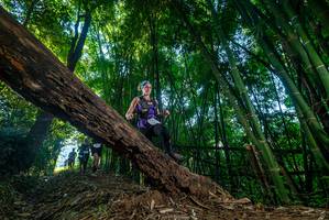 BIB: 
                            <button type="button" onclick="openModal(18994206)" class="btn btn-primary btn-sm float-right btn-popup" data-toggle="modal" data-target=".modal-high-quality">
                        <i class="fas fa-shopping-cart"></i> Add to Cart
                    </button>
                                            <button type="button" onclick="isThisMe(18994206, true)" class="btn btn-success btn-sm float-right btn-popup btn-isme hidden" data-toggle="tooltip" data-placement="bottom" title="นี่คือรูปของคุณใช่ไหม คลิกที่นี่เพื่อเอาเข้าอัลบั้ม">
                        <i class="fas fa-plus"></i> Add to album
                    </button>
                    <button type="button" onclick="isThisMe(18994206, false)" class="btn btn-warning btn-sm float-right btn-popup btn-isnotme hidden">
                        <i class="fas fa-ban"></i> Remove from album
                    </button>