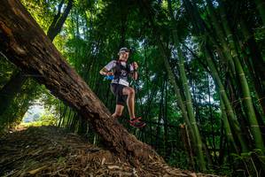 BIB: 
                            <button type="button" onclick="openModal(18986633)" class="btn btn-primary btn-sm float-right btn-popup" data-toggle="modal" data-target=".modal-high-quality">
                        <i class="fas fa-shopping-cart"></i> Add to Cart
                    </button>
                                            <button type="button" onclick="isThisMe(18986633, true)" class="btn btn-success btn-sm float-right btn-popup btn-isme hidden" data-toggle="tooltip" data-placement="bottom" title="นี่คือรูปของคุณใช่ไหม คลิกที่นี่เพื่อเอาเข้าอัลบั้ม">
                        <i class="fas fa-plus"></i> Add to album
                    </button>
                    <button type="button" onclick="isThisMe(18986633, false)" class="btn btn-warning btn-sm float-right btn-popup btn-isnotme hidden">
                        <i class="fas fa-ban"></i> Remove from album
                    </button>