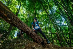 BIB: 2404, 
                            <button type="button" onclick="openModal(19064667)" class="btn btn-primary btn-sm float-right btn-popup" data-toggle="modal" data-target=".modal-high-quality">
                        <i class="fas fa-shopping-cart"></i> Add to Cart
                    </button>
                                            <button type="button" onclick="isThisMe(19064667, true)" class="btn btn-success btn-sm float-right btn-popup btn-isme hidden" data-toggle="tooltip" data-placement="bottom" title="นี่คือรูปของคุณใช่ไหม คลิกที่นี่เพื่อเอาเข้าอัลบั้ม">
                        <i class="fas fa-plus"></i> Add to album
                    </button>
                    <button type="button" onclick="isThisMe(19064667, false)" class="btn btn-warning btn-sm float-right btn-popup btn-isnotme hidden">
                        <i class="fas fa-ban"></i> Remove from album
                    </button>