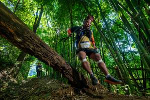 BIB: 2073
                            <button type="button" onclick="openModal(19065964)" class="btn btn-primary btn-sm float-right btn-popup" data-toggle="modal" data-target=".modal-high-quality">
                        <i class="fas fa-shopping-cart"></i> Add to Cart
                    </button>
                                            <button type="button" onclick="isThisMe(19065964, true)" class="btn btn-success btn-sm float-right btn-popup btn-isme hidden" data-toggle="tooltip" data-placement="bottom" title="นี่คือรูปของคุณใช่ไหม คลิกที่นี่เพื่อเอาเข้าอัลบั้ม">
                        <i class="fas fa-plus"></i> Add to album
                    </button>
                    <button type="button" onclick="isThisMe(19065964, false)" class="btn btn-warning btn-sm float-right btn-popup btn-isnotme hidden">
                        <i class="fas fa-ban"></i> Remove from album
                    </button>