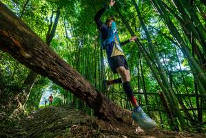 BIB: 
                            <button type="button" onclick="openModal(19068462)" class="btn btn-primary btn-sm float-right btn-popup" data-toggle="modal" data-target=".modal-high-quality">
                        <i class="fas fa-shopping-cart"></i> Add to Cart
                    </button>
                                            <button type="button" onclick="isThisMe(19068462, true)" class="btn btn-success btn-sm float-right btn-popup btn-isme hidden" data-toggle="tooltip" data-placement="bottom" title="นี่คือรูปของคุณใช่ไหม คลิกที่นี่เพื่อเอาเข้าอัลบั้ม">
                        <i class="fas fa-plus"></i> Add to album
                    </button>
                    <button type="button" onclick="isThisMe(19068462, false)" class="btn btn-warning btn-sm float-right btn-popup btn-isnotme hidden">
                        <i class="fas fa-ban"></i> Remove from album
                    </button>