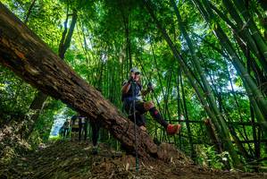 BIB: 
                            <button type="button" onclick="openModal(19065753)" class="btn btn-primary btn-sm float-right btn-popup" data-toggle="modal" data-target=".modal-high-quality">
                        <i class="fas fa-shopping-cart"></i> Add to Cart
                    </button>
                                            <button type="button" onclick="isThisMe(19065753, true)" class="btn btn-success btn-sm float-right btn-popup btn-isme hidden" data-toggle="tooltip" data-placement="bottom" title="นี่คือรูปของคุณใช่ไหม คลิกที่นี่เพื่อเอาเข้าอัลบั้ม">
                        <i class="fas fa-plus"></i> Add to album
                    </button>
                    <button type="button" onclick="isThisMe(19065753, false)" class="btn btn-warning btn-sm float-right btn-popup btn-isnotme hidden">
                        <i class="fas fa-ban"></i> Remove from album
                    </button>