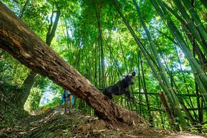 BIB: 
                            <button type="button" onclick="openModal(19071780)" class="btn btn-primary btn-sm float-right btn-popup" data-toggle="modal" data-target=".modal-high-quality">
                        <i class="fas fa-shopping-cart"></i> Add to Cart
                    </button>
                                            <button type="button" onclick="isThisMe(19071780, true)" class="btn btn-success btn-sm float-right btn-popup btn-isme hidden" data-toggle="tooltip" data-placement="bottom" title="นี่คือรูปของคุณใช่ไหม คลิกที่นี่เพื่อเอาเข้าอัลบั้ม">
                        <i class="fas fa-plus"></i> Add to album
                    </button>
                    <button type="button" onclick="isThisMe(19071780, false)" class="btn btn-warning btn-sm float-right btn-popup btn-isnotme hidden">
                        <i class="fas fa-ban"></i> Remove from album
                    </button>