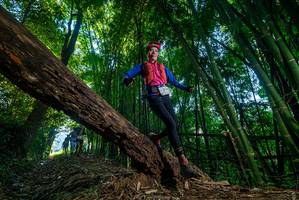 BIB: 
                            <button type="button" onclick="openModal(18996161)" class="btn btn-primary btn-sm float-right btn-popup" data-toggle="modal" data-target=".modal-high-quality">
                        <i class="fas fa-shopping-cart"></i> Add to Cart
                    </button>
                                            <button type="button" onclick="isThisMe(18996161, true)" class="btn btn-success btn-sm float-right btn-popup btn-isme hidden" data-toggle="tooltip" data-placement="bottom" title="นี่คือรูปของคุณใช่ไหม คลิกที่นี่เพื่อเอาเข้าอัลบั้ม">
                        <i class="fas fa-plus"></i> Add to album
                    </button>
                    <button type="button" onclick="isThisMe(18996161, false)" class="btn btn-warning btn-sm float-right btn-popup btn-isnotme hidden">
                        <i class="fas fa-ban"></i> Remove from album
                    </button>