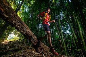 BIB: 
                            <button type="button" onclick="openModal(18986382)" class="btn btn-primary btn-sm float-right btn-popup" data-toggle="modal" data-target=".modal-high-quality">
                        <i class="fas fa-shopping-cart"></i> Add to Cart
                    </button>
                                            <button type="button" onclick="isThisMe(18986382, true)" class="btn btn-success btn-sm float-right btn-popup btn-isme hidden" data-toggle="tooltip" data-placement="bottom" title="นี่คือรูปของคุณใช่ไหม คลิกที่นี่เพื่อเอาเข้าอัลบั้ม">
                        <i class="fas fa-plus"></i> Add to album
                    </button>
                    <button type="button" onclick="isThisMe(18986382, false)" class="btn btn-warning btn-sm float-right btn-popup btn-isnotme hidden">
                        <i class="fas fa-ban"></i> Remove from album
                    </button>