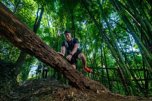 BIB: 
                            <button type="button" onclick="openModal(19056573)" class="btn btn-primary btn-sm float-right btn-popup" data-toggle="modal" data-target=".modal-high-quality">
                        <i class="fas fa-shopping-cart"></i> Add to Cart
                    </button>
                                            <button type="button" onclick="isThisMe(19056573, true)" class="btn btn-success btn-sm float-right btn-popup btn-isme hidden" data-toggle="tooltip" data-placement="bottom" title="นี่คือรูปของคุณใช่ไหม คลิกที่นี่เพื่อเอาเข้าอัลบั้ม">
                        <i class="fas fa-plus"></i> Add to album
                    </button>
                    <button type="button" onclick="isThisMe(19056573, false)" class="btn btn-warning btn-sm float-right btn-popup btn-isnotme hidden">
                        <i class="fas fa-ban"></i> Remove from album
                    </button>