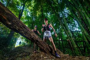 BIB: 1963
                            <button type="button" onclick="openModal(18995473)" class="btn btn-primary btn-sm float-right btn-popup" data-toggle="modal" data-target=".modal-high-quality">
                        <i class="fas fa-shopping-cart"></i> Add to Cart
                    </button>
                                            <button type="button" onclick="isThisMe(18995473, true)" class="btn btn-success btn-sm float-right btn-popup btn-isme hidden" data-toggle="tooltip" data-placement="bottom" title="นี่คือรูปของคุณใช่ไหม คลิกที่นี่เพื่อเอาเข้าอัลบั้ม">
                        <i class="fas fa-plus"></i> Add to album
                    </button>
                    <button type="button" onclick="isThisMe(18995473, false)" class="btn btn-warning btn-sm float-right btn-popup btn-isnotme hidden">
                        <i class="fas fa-ban"></i> Remove from album
                    </button>